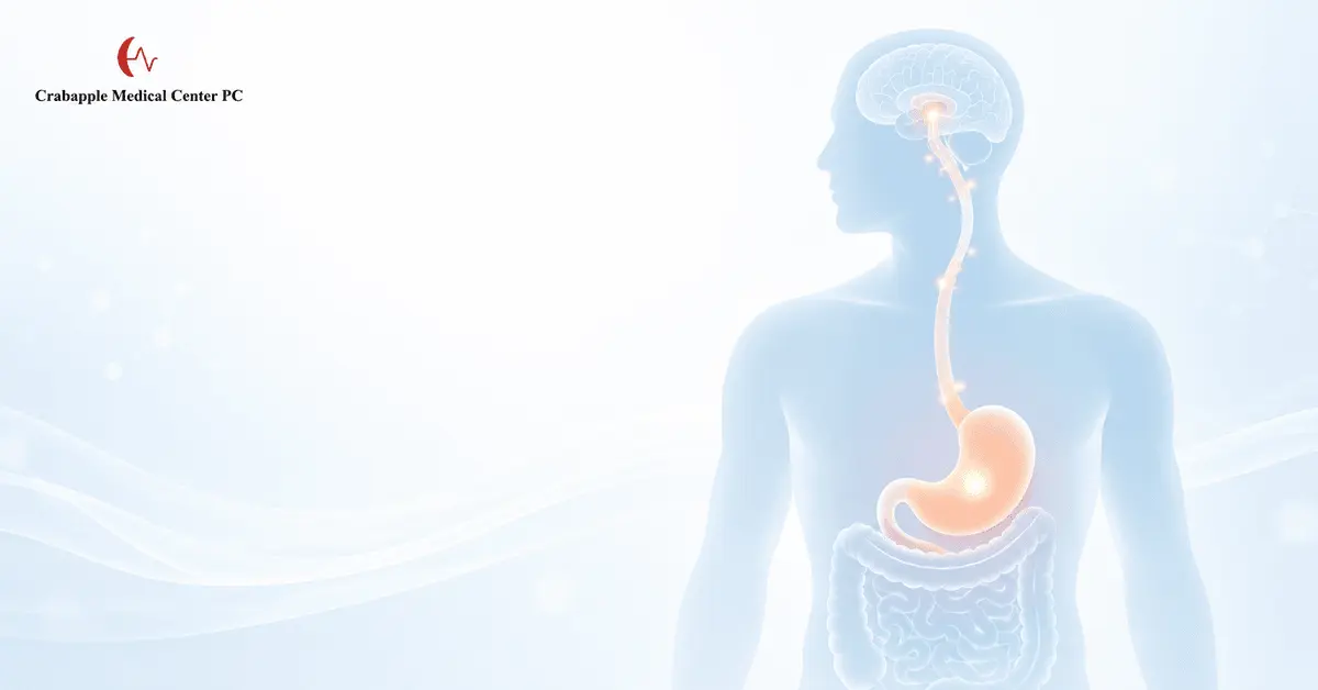 What Are GLP 1 Medications What Are GLP 1 Medications